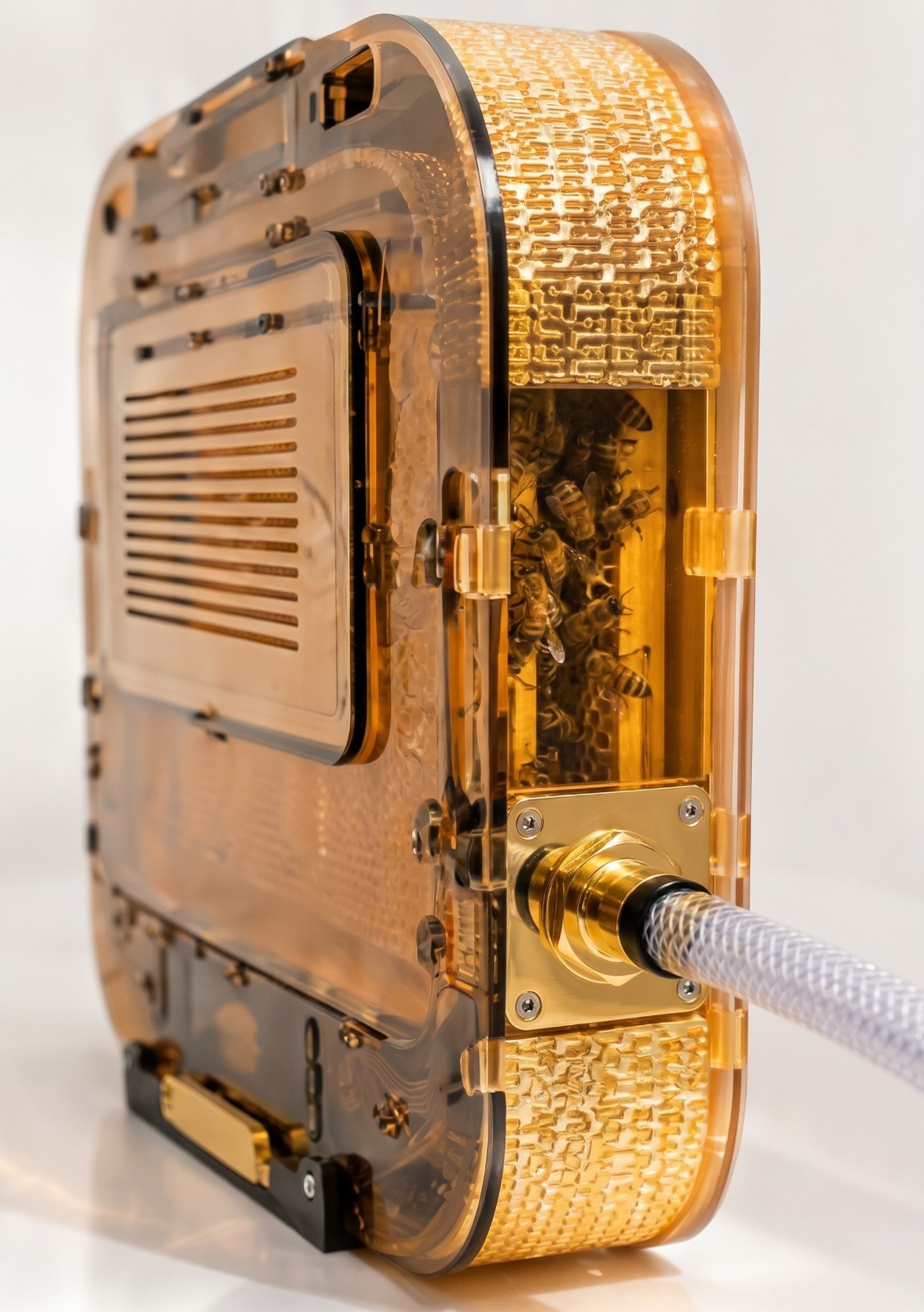 Right Side View